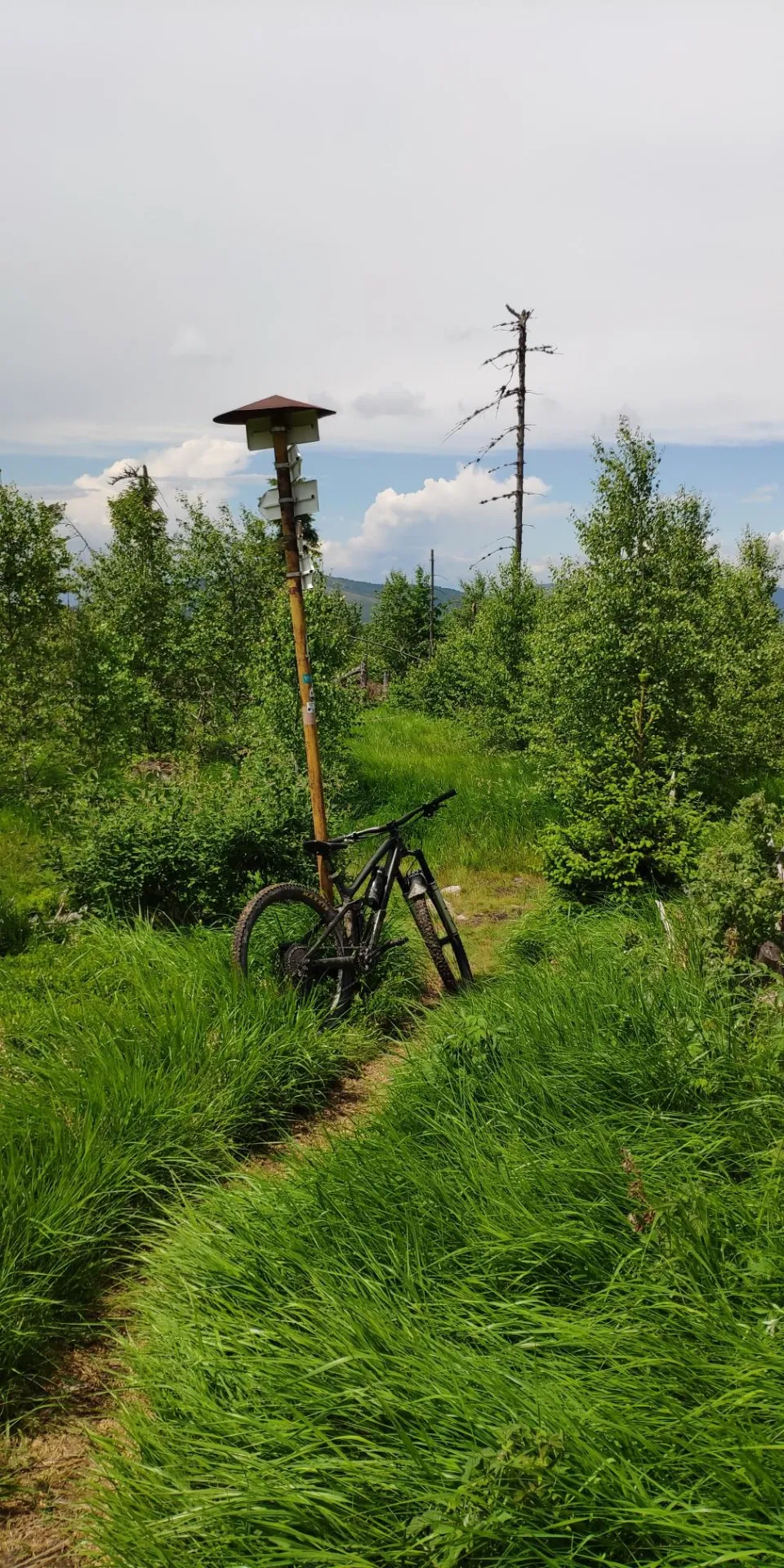 Smolnik - Osadnik - Pipitka - Uhornianske sedlo - Smolnik — fotka 3