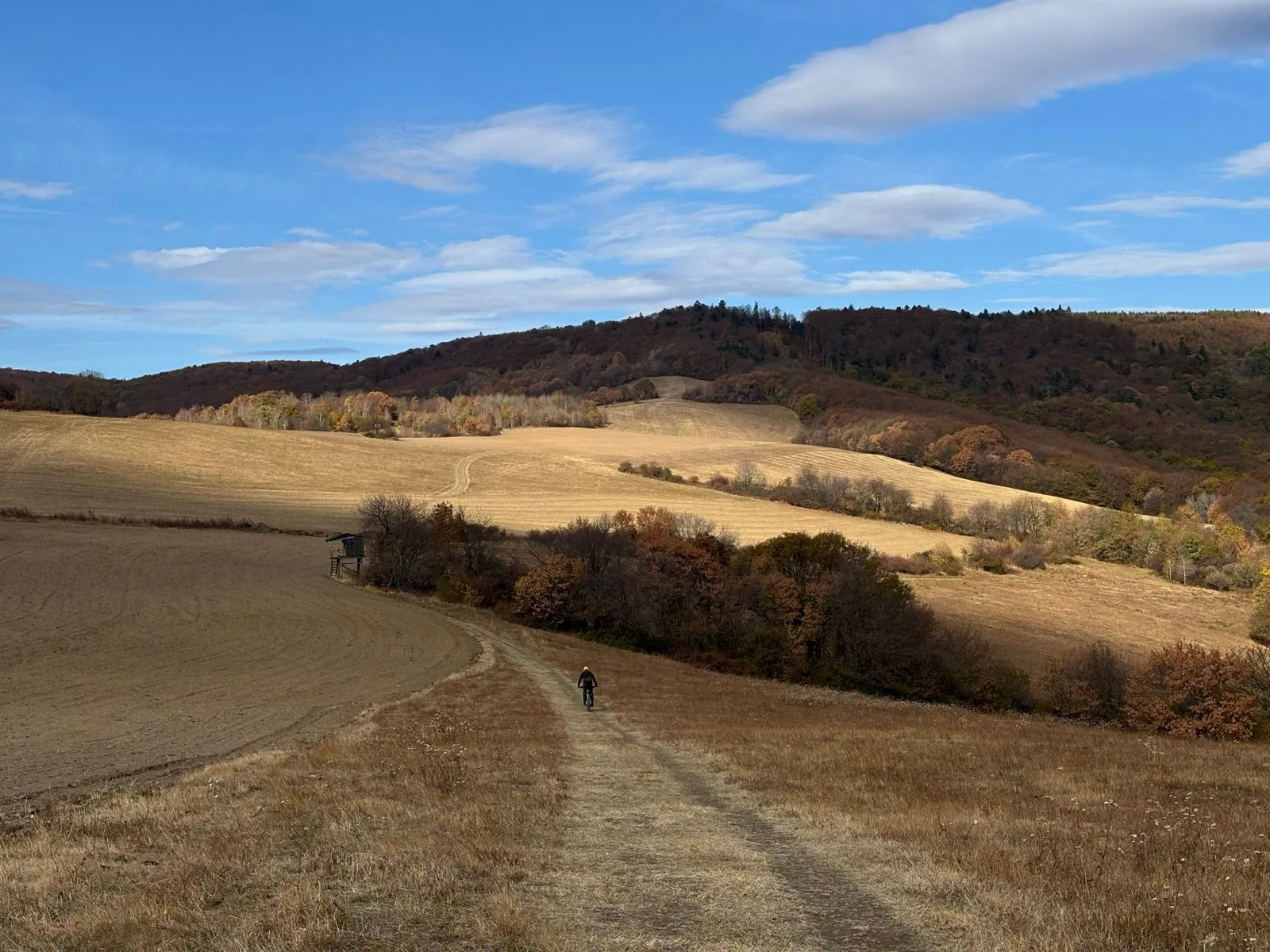 Jahodná cez trail Bedľa a lúky od Klatovianky — fotka 1