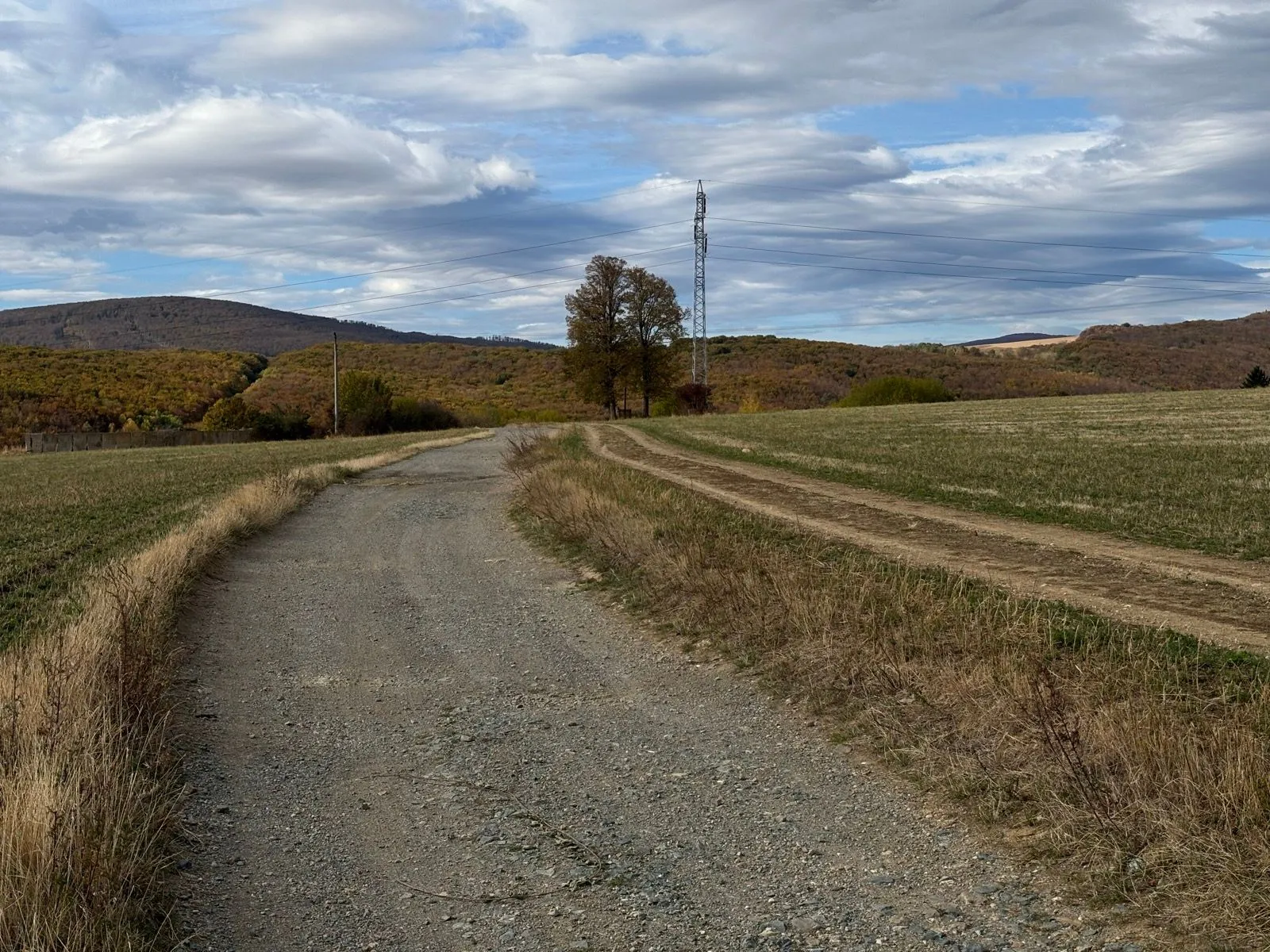 Jahodná cez trail Bedľa a lúky od Klatovianky — fotka 3
