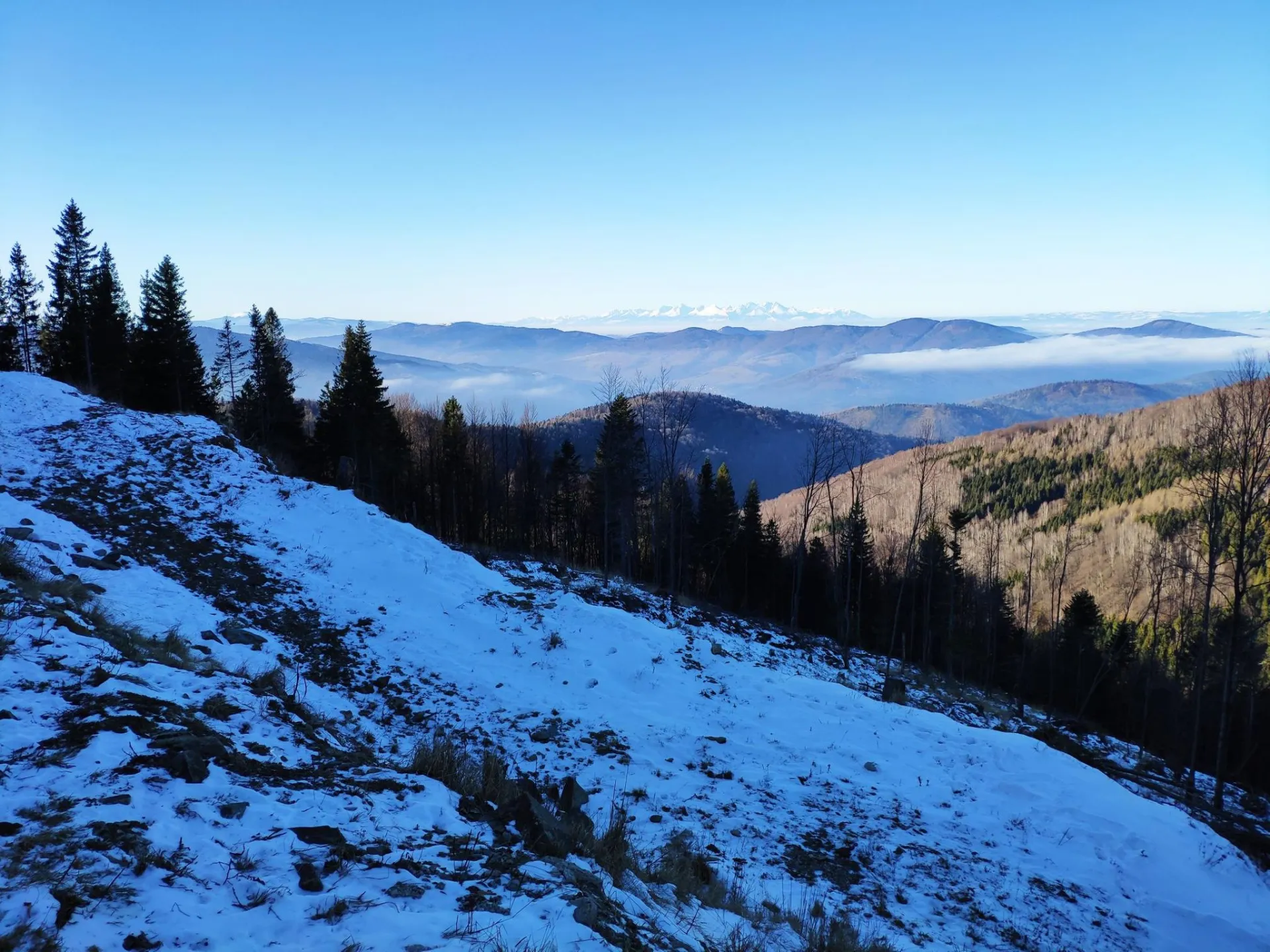 Kojšovská hoľa z Jahodnej — fotka 3