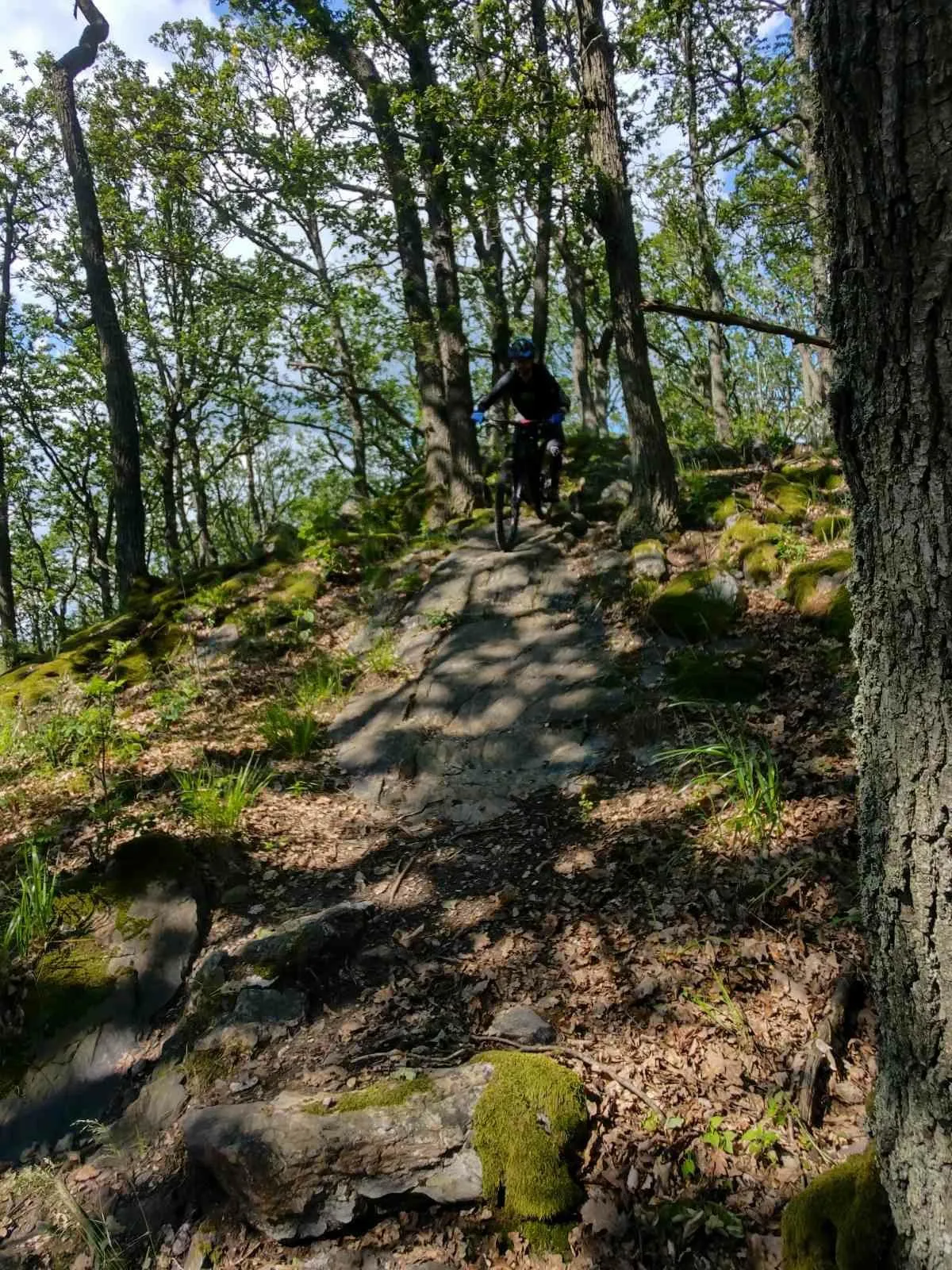 Mine Trails — fotka 1