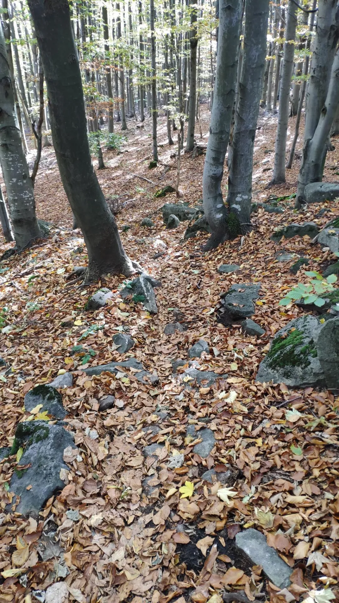 Slanské vrchy - sever — fotka 2